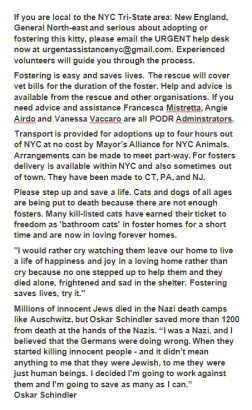 Homeless pets - Help foster NYC AC&C USE THIS