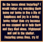 Homeless pets - Help fostering saves lives 02