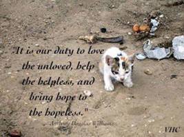 Homeless pets - Help it is our duty