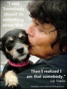 Homeless pets - Help someone do something dog
