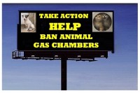 Homeless pets - Kill billboard help ban animal gas chambers