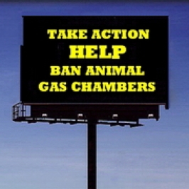 Homeless Pets - Kill billboard take action