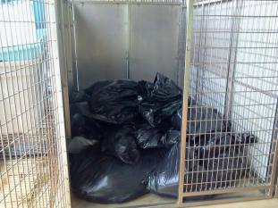 Homeless pets - Kill black bags in cage