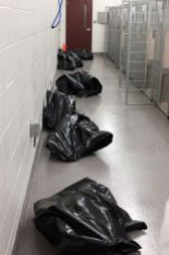 Homeless pets - Kill black bags in corridor