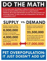 Homeless pets - Kill do the math
