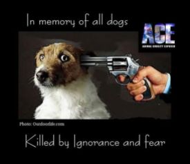 Homeless pets - Kill dogs in memory of all killed