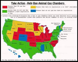 Homeless pets - Kill gassing map US