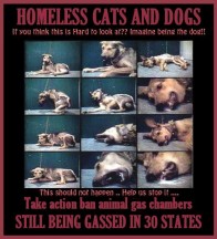 Homeless pets - Kill gassing still in 30 states