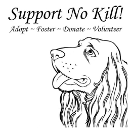 Homeless pets - Kill no kill support
