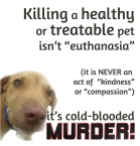 Homeless pets - Kill not euthanasia