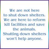 Homeless pets - Kill shelters not here to shut down go no kill