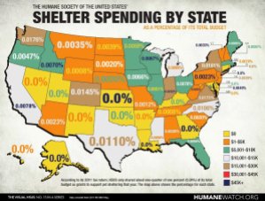 Homeless pets - Kill shelters spending by state