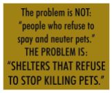 Homeless pets - Kill shelters
