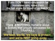Homeless pets - Kill stop use TNR