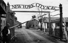 Homeless pets - NYC AC&C Auschwitz gates