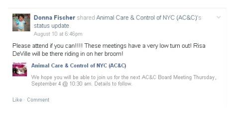 Homeless Pets - NYC AC&C board meeting