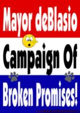 Homeless pets - NYC AC&C Mayor Bill De Blasio 03