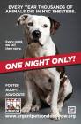 Homeless pets - NYC AC&C one night only road sign