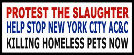 Homeless pets - NYC AC&C protest the Slaughter flag