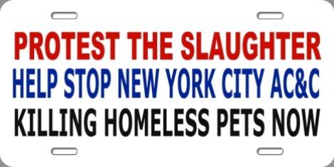 Homeless pets - NYC AC&C protest the slaughter