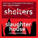 Homeless pets - NYC AC&C shelter or slaughterhouse