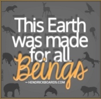 Message - Earth made for all beings