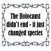Message - Holocaust didn't end in barbed wire frame