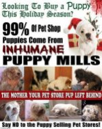 Mills farms breeders - Pet store puppies 99% are from mills