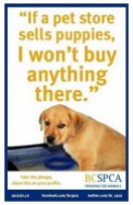 Mills farms breeders - Pet store sells puppies don't buy anything there