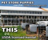 Mills farms breeders - USDA this is a licensed kennel
