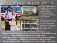 Misc - Amish