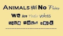 Misc - Animals have no voice