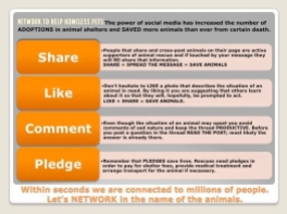 Misc - Facebook share like comment pledge