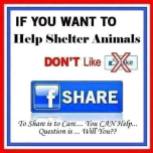 Misc - Facebook share to help shelter animals