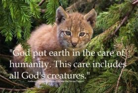 Misc - God put earth in the care of humanity
