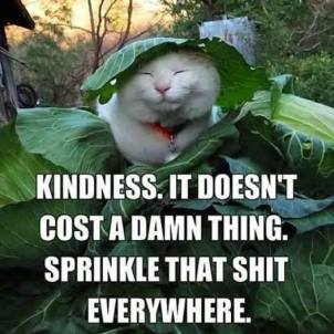 Misc - Kindness doesn't cost a thing