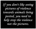 Misc - Pics stop the violence not the pics