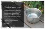Misc - Water bowl