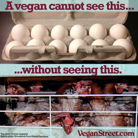 Factory farming - Chickens and eggs