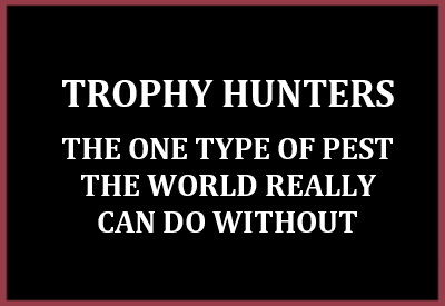 Trophy hunters - Conservation trophy hunters pests