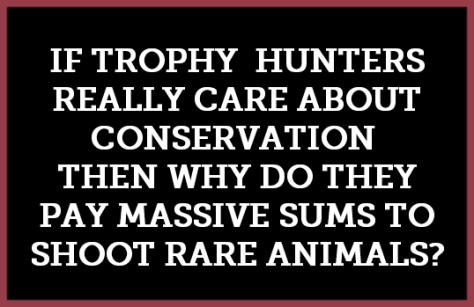 Trophy hunters - Conservation why hunters kill rare animals