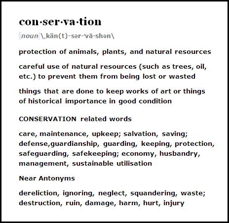 Trophy hunters - Definition conservation