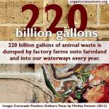 Factory farming - 220 billion galllons of animal waste