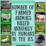 Factory farming - 500 milllion holocaust number of farm animals killed