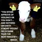Factory farming - cattle meat extreme