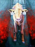 Factory farming - dairy calves killed