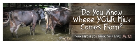 Factory farming - dairy do you know where it comes from