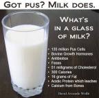 Factory farming - dairy milk glass what is in 2