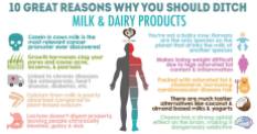 Factory farming - dairy reasons to ditch