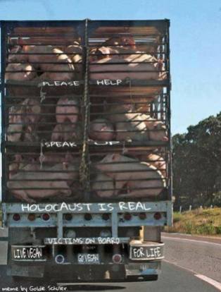 Factory farming - live export help holocaust is real